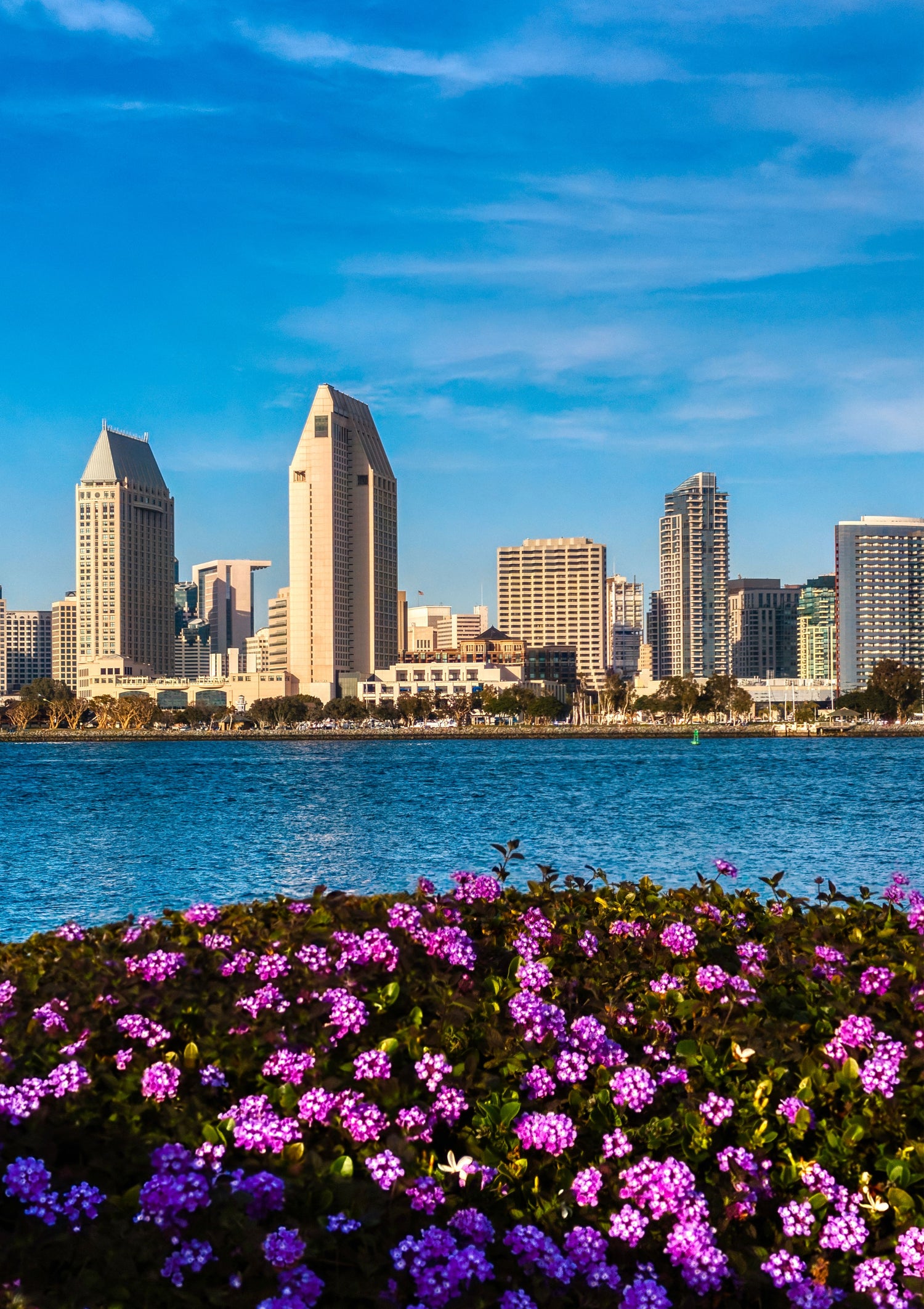 san diego city