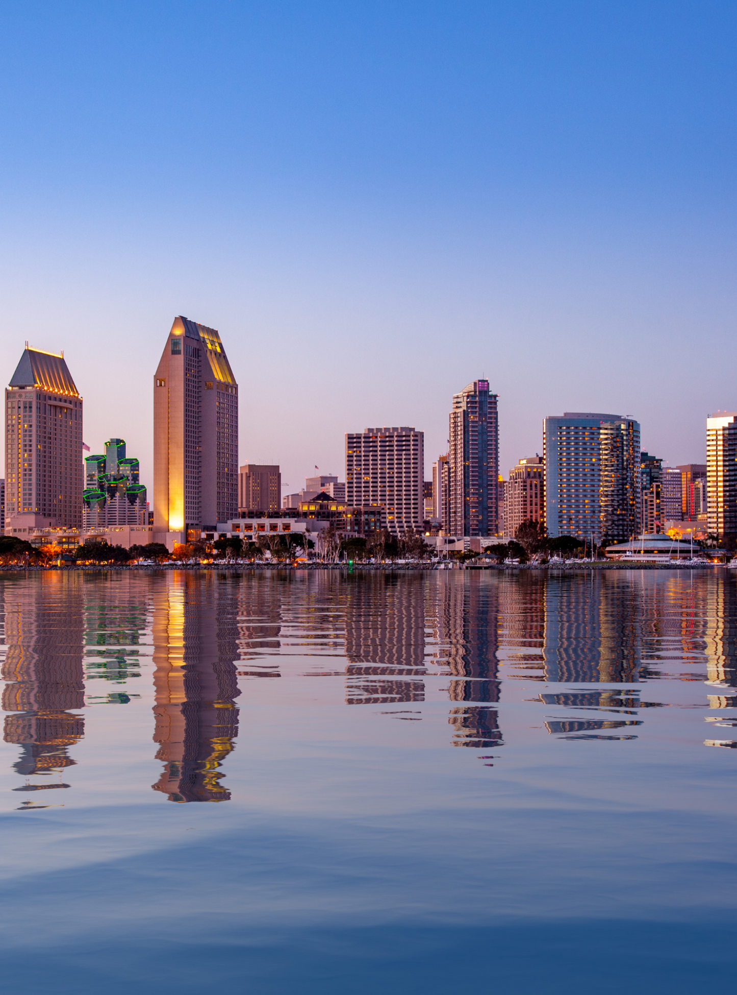 san diego clickbid meet up